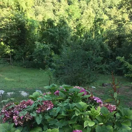 La Casetta Nel Bosco! *