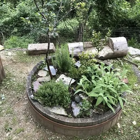 Hotel La Casetta Nel Bosco!