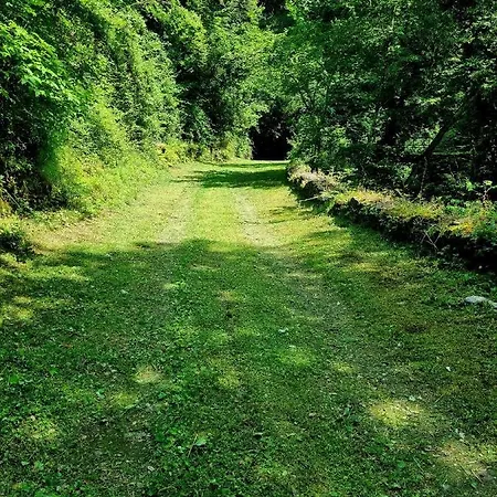Hotel La Casetta Nel Bosco! *