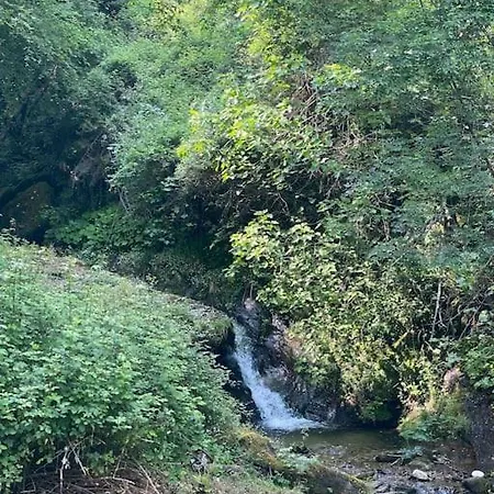 La Casetta Nel Bosco! Stazzema