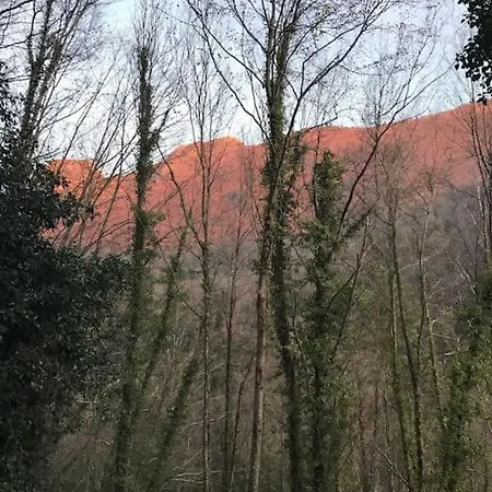 La Casetta Nel Bosco! *