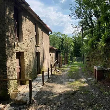 La Casetta Nel Bosco! *