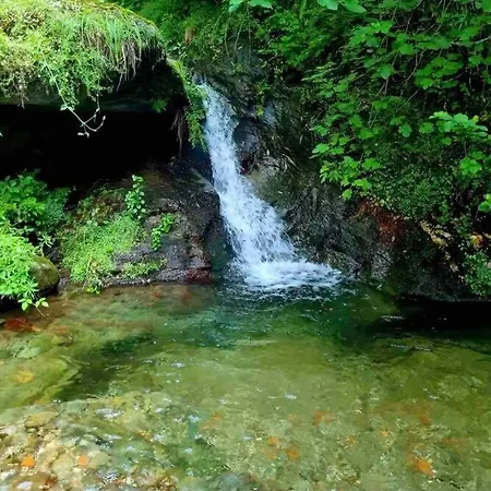La Casetta Nel Bosco! Stazzema