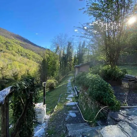 La Casetta Nel Bosco!
